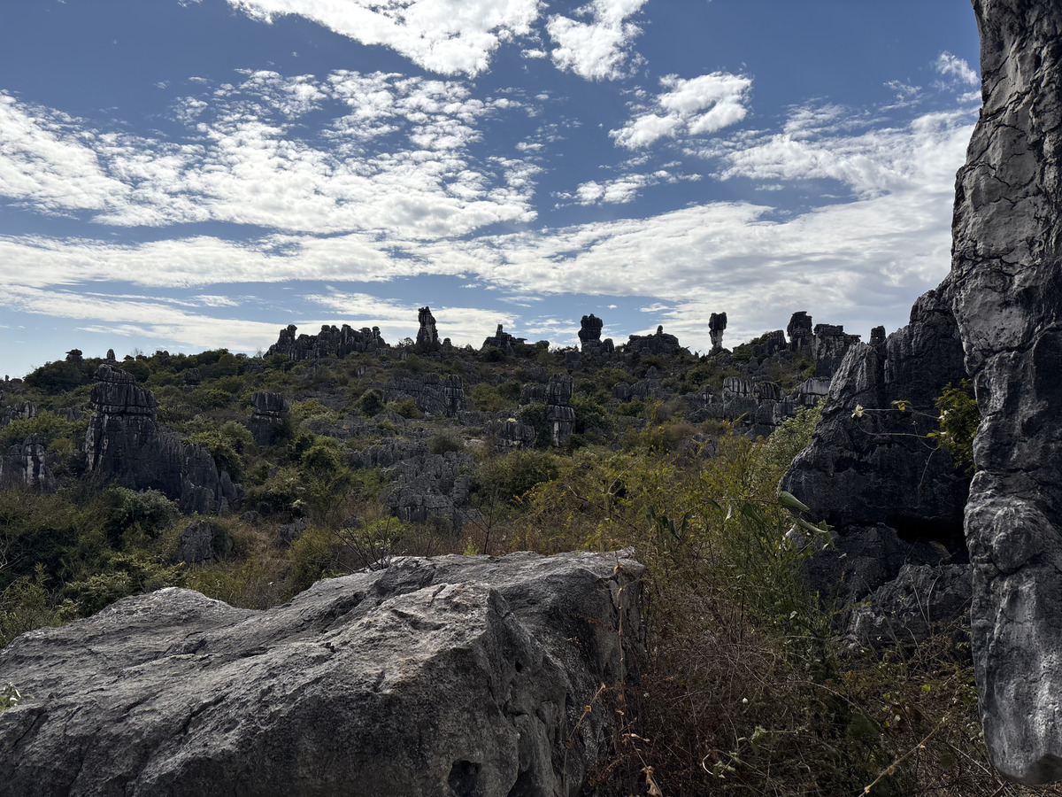 照片 中国(China) 石林(Shilin Stone Forest) 2026-01 258