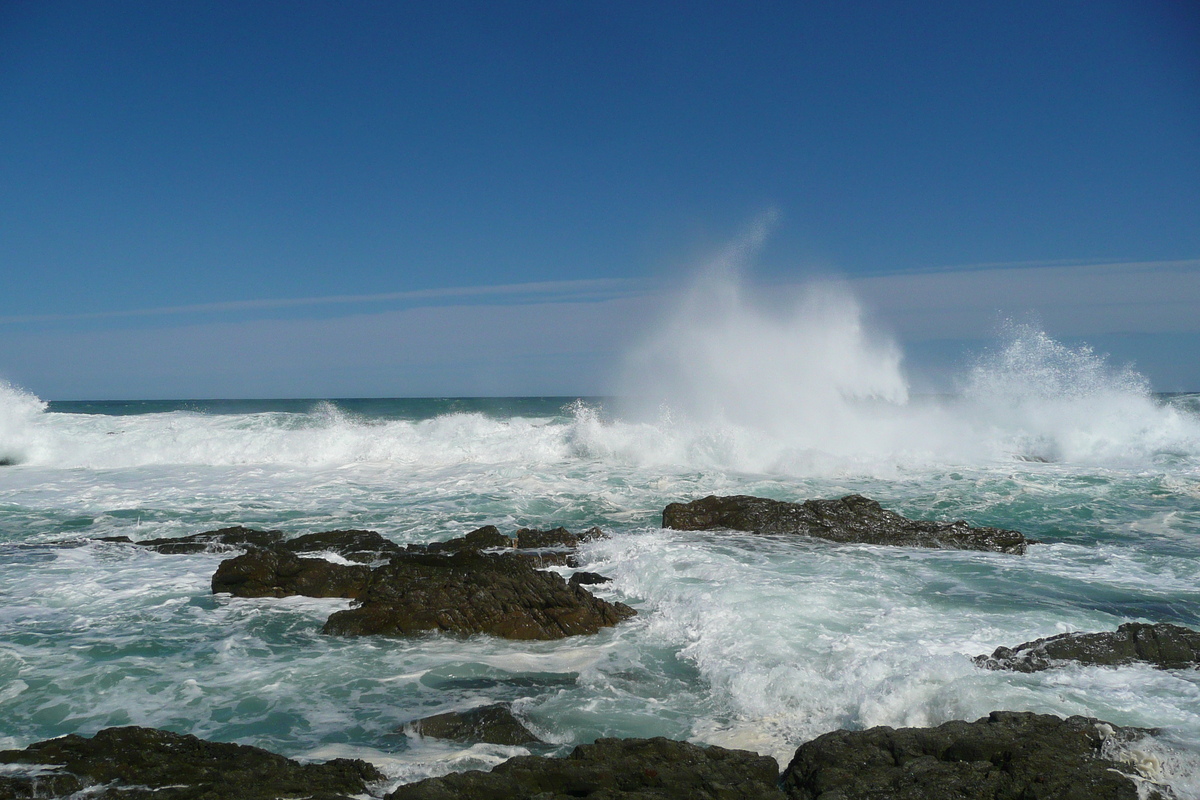 照片 南非(South Africa) 齐齐卡马国家公园(Tsitsikamma National Park) 2008-09 246
