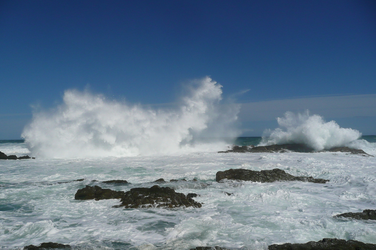 照片 南非(South Africa) 齐齐卡马国家公园(Tsitsikamma National Park) 2008-09 274