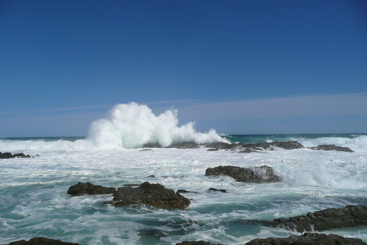 照片 南非(South Africa) 齐齐卡马国家公园(Tsitsikamma National Park) 2008-09 258