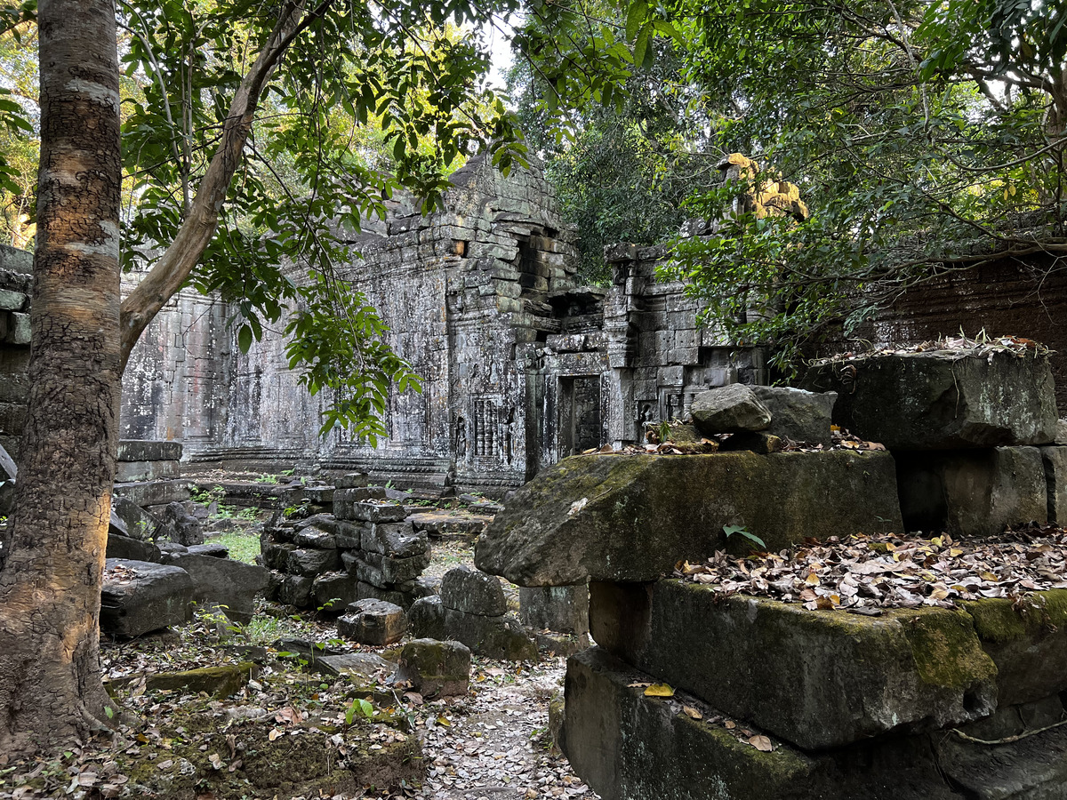照片 柬埔寨(Cambodia) 暹粒(Siem Reap) 圣剑寺(Preah Khan) 2023-01 63