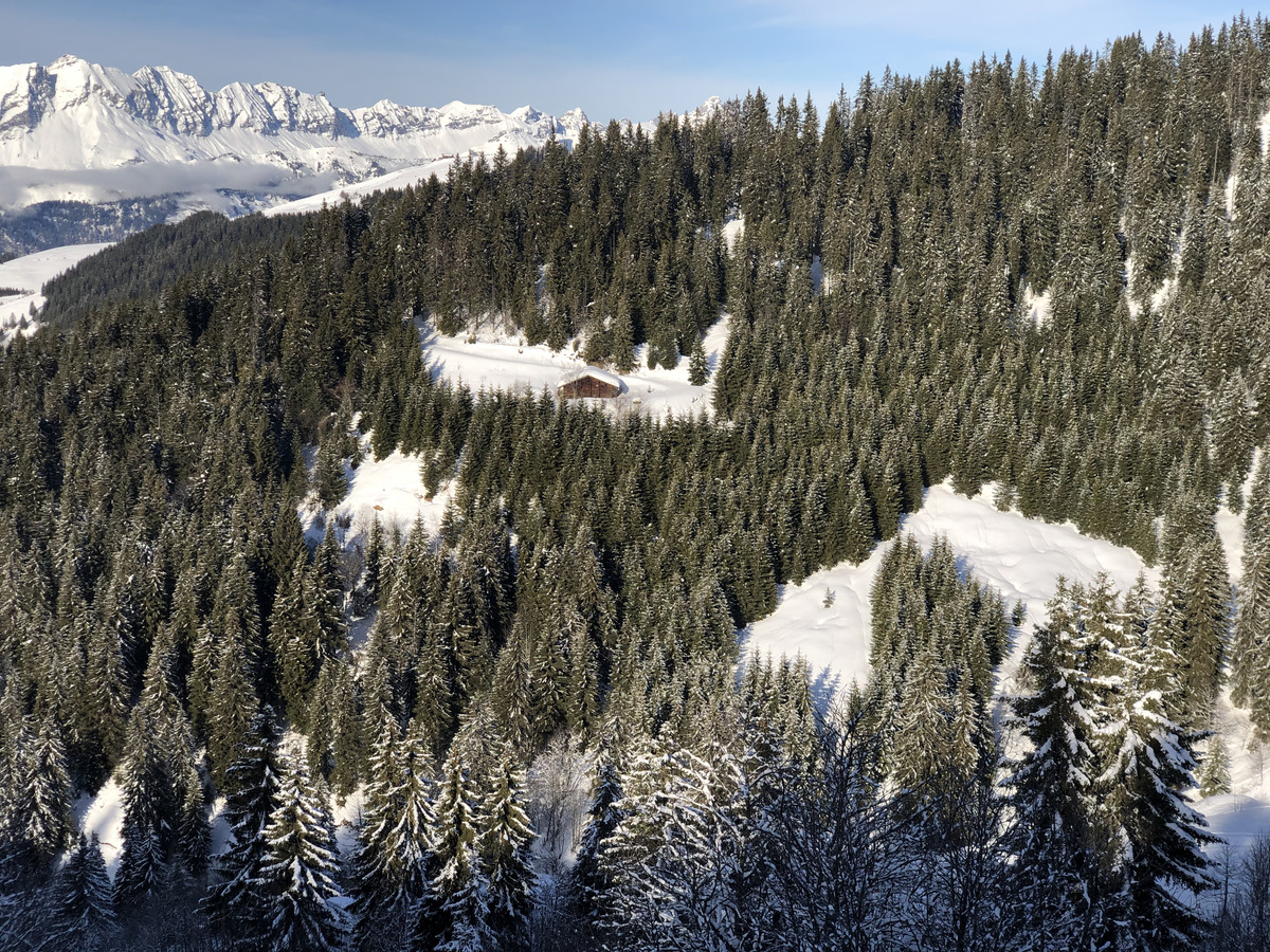 照片 法国(France) 阿尔利河畔普拉(Praz sur Arly) 2019-12 201