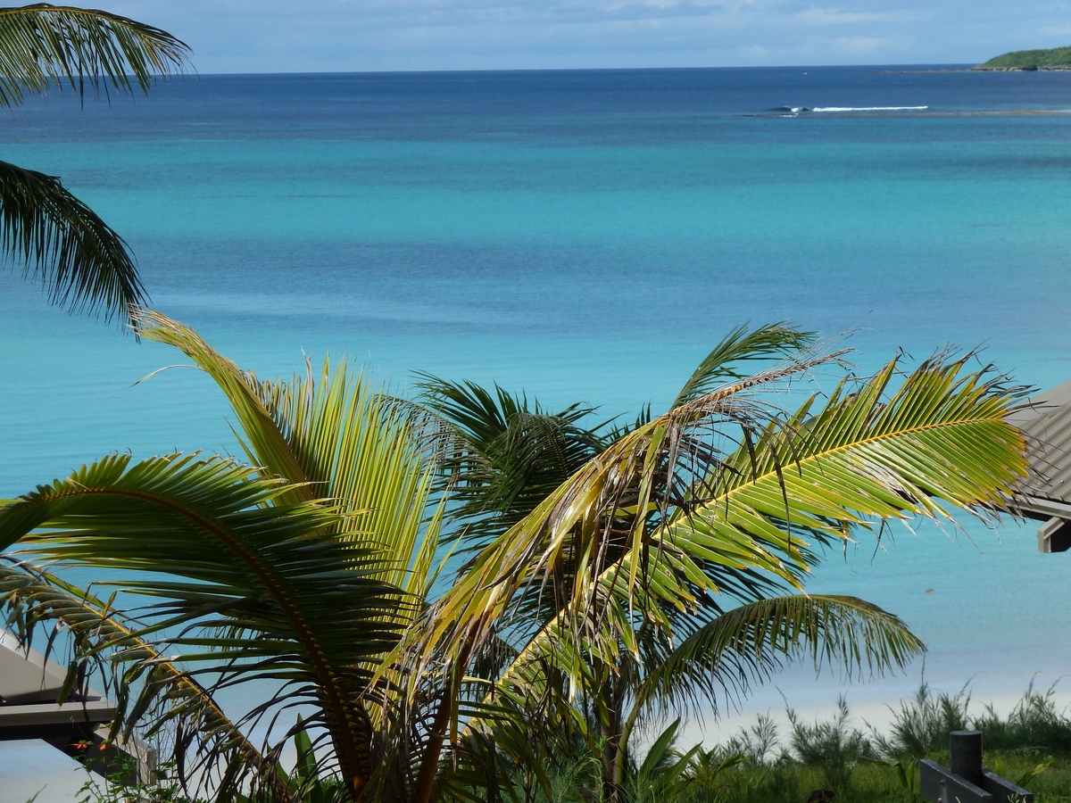 照片 新喀里多尼亚(New Caledonia) 利富岛(Lifou) 德雷胡村酒店(Drehu Village Hotel) 2010-05 68