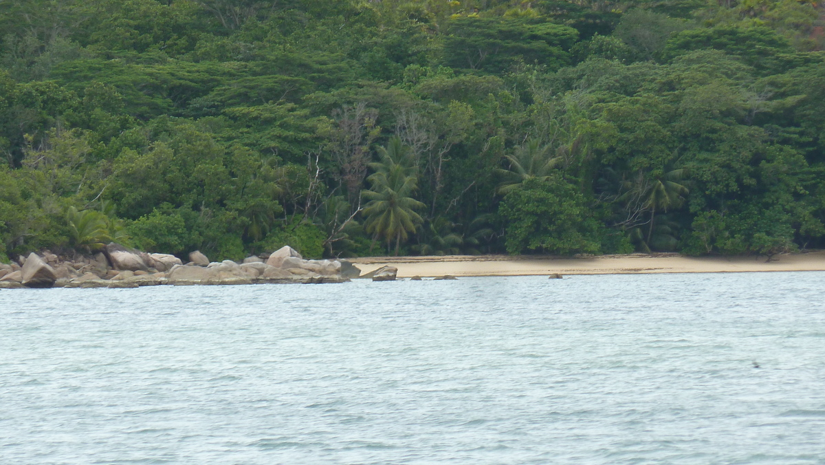 照片 塞舌尔(Seychelles) 居里厄斯岛(Curieuse) 2011-10 16
