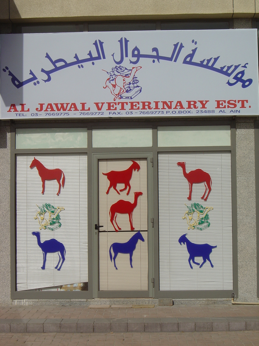 照片 阿联酋(United Arab Emirates) 艾因(Al Ain) 2005-03 60