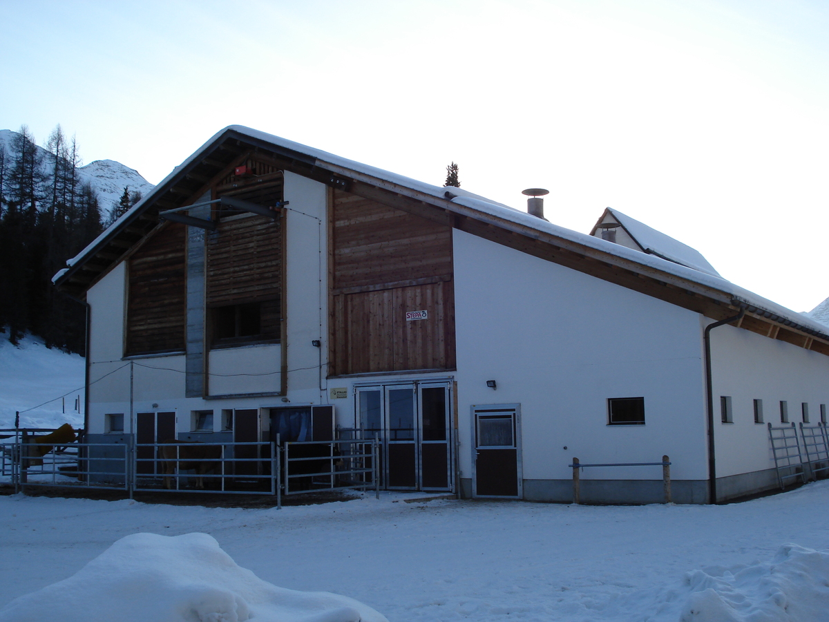 照片 瑞士(Switzerland) 圣莫里茨施拉里尼亚(St Moritz Schlarigna) 2007-01 1