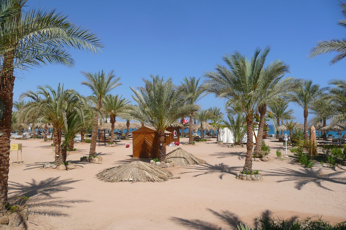 照片 埃及(Egypt) 沙姆沙伊赫(Sharm el Sheikh) 2008-06 15