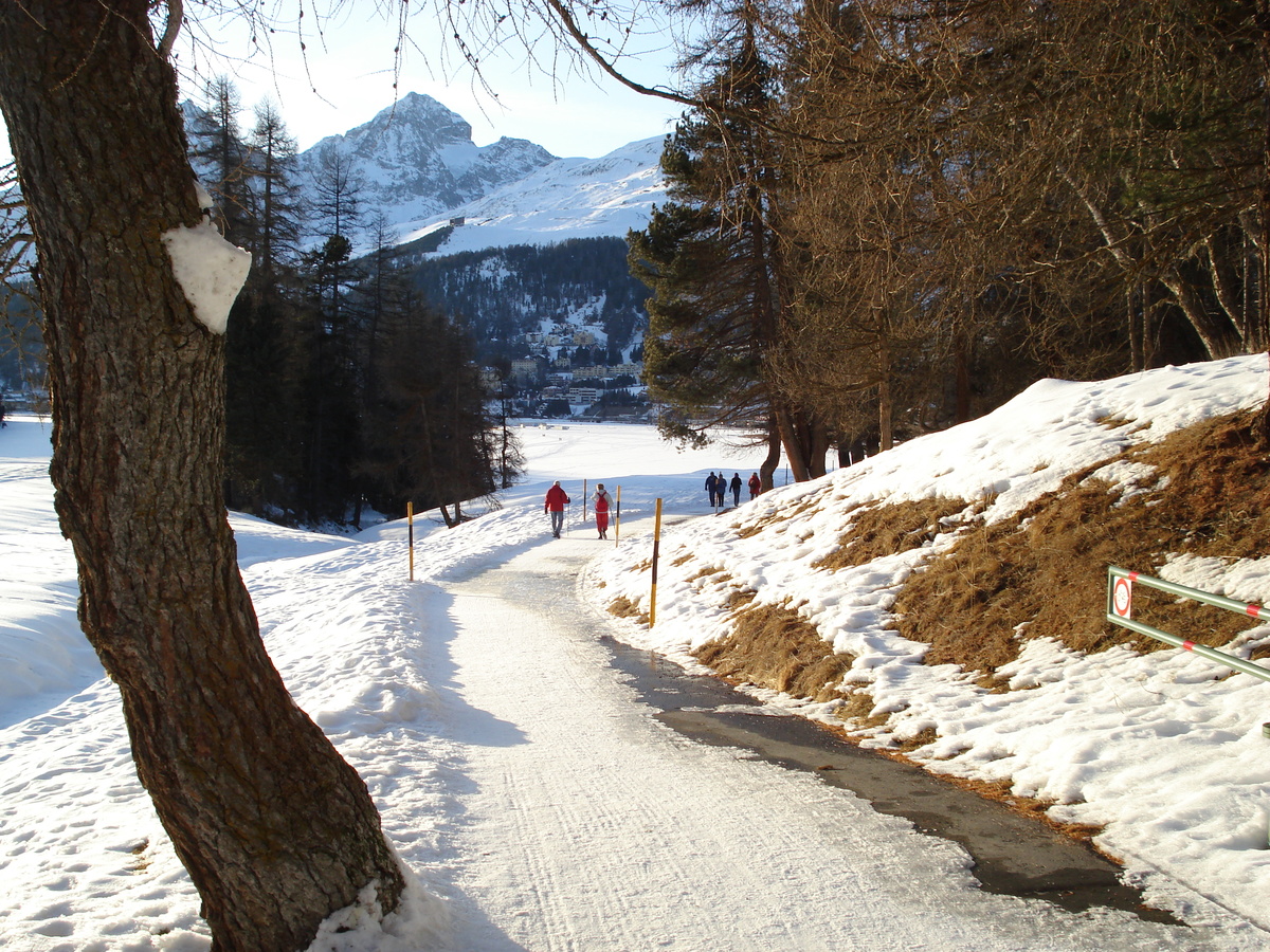 照片 瑞士(Switzerland) 圣莫里茨施拉里尼亚(St Moritz Schlarigna) 2007-01 17