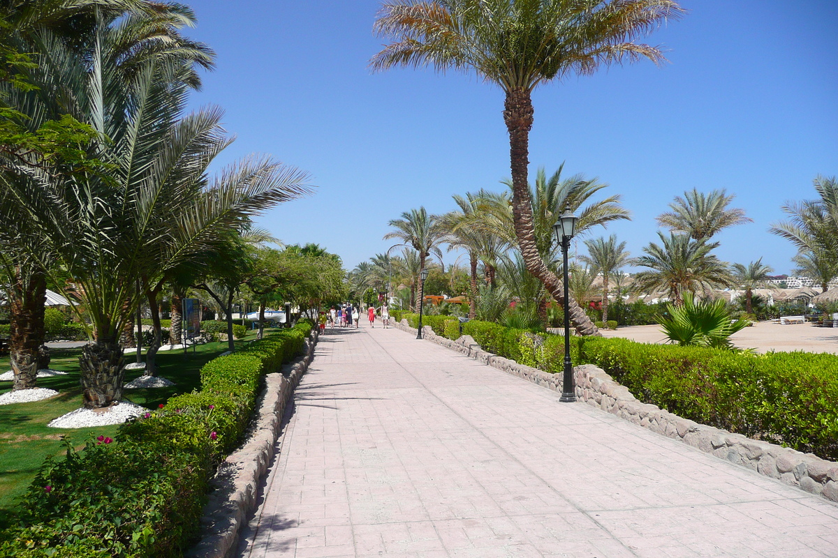 照片 埃及(Egypt) 沙姆沙伊赫(Sharm el Sheikh) 2008-06 24
