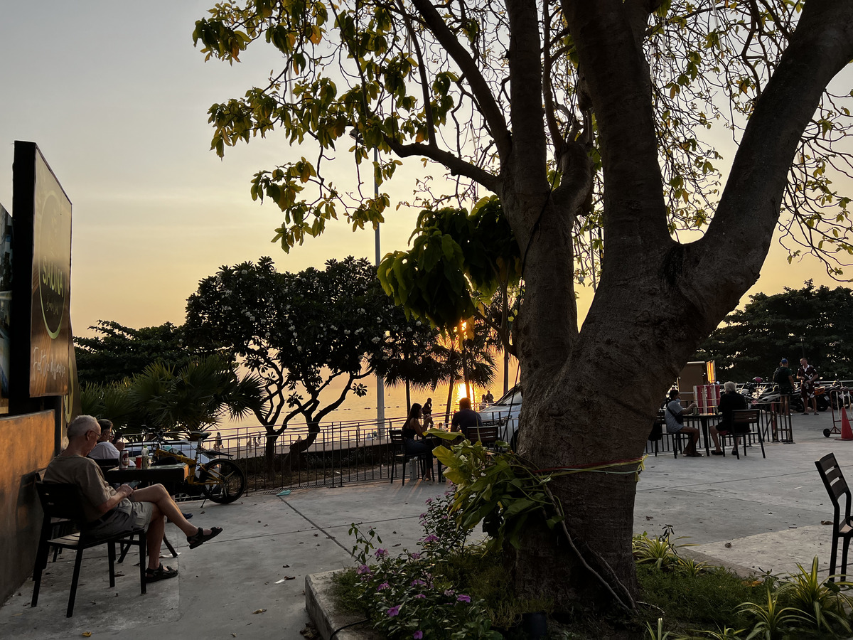 照片 泰国(Thailand) 芭提雅(Pattaya) 2023-01 88