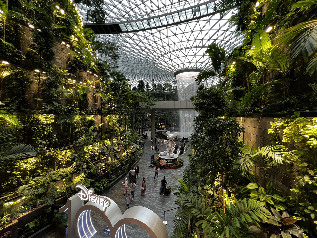 照片 新加坡(Singapore) 新加坡樟宜机场(Singapore Changi Airport) 2023-01 30