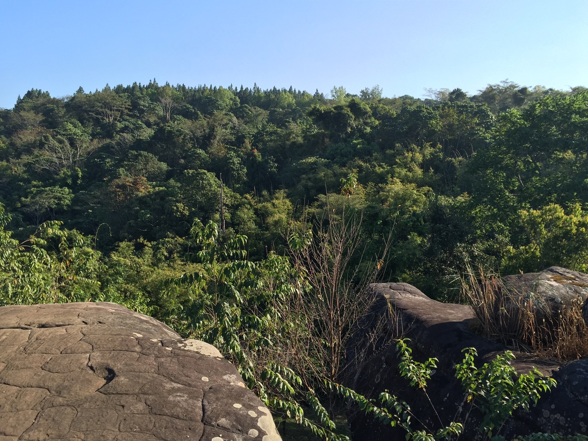 照片 泰国(Thailand) 普欣隆卡国家公园(Phu Hin Rong Kla National Park) 2014-12 193