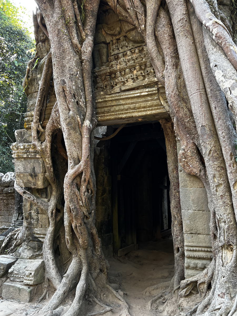 照片 柬埔寨(Cambodia) 暹粒(Siem Reap) 塔松寺(Ta Som) 2023-01 31