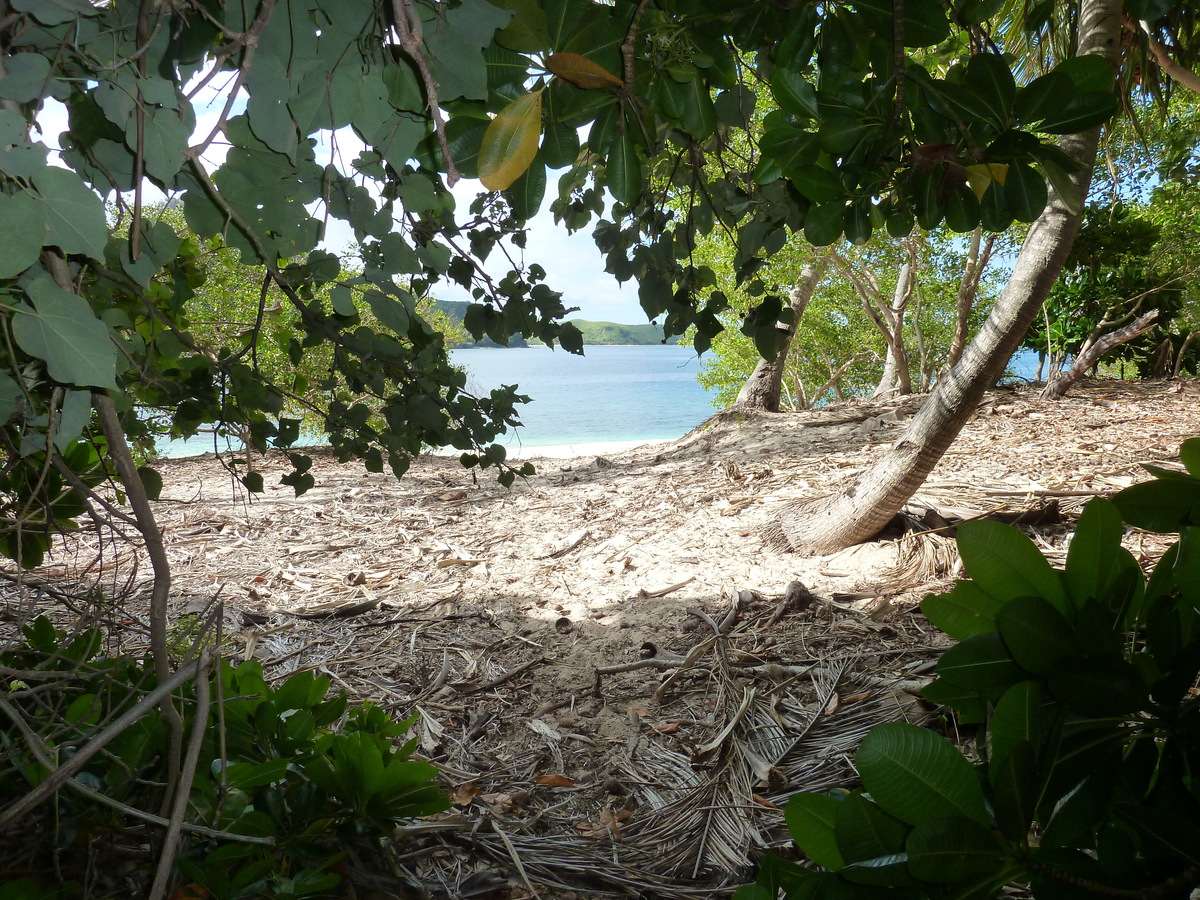 照片 斐济(Fiji) 2010-05 26