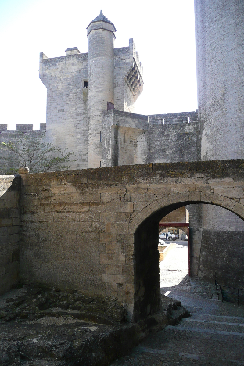 照片 法国(France) 塔拉斯孔(Tarascon) 塔拉斯孔城堡(Tarascon Castle) 2008-04 183