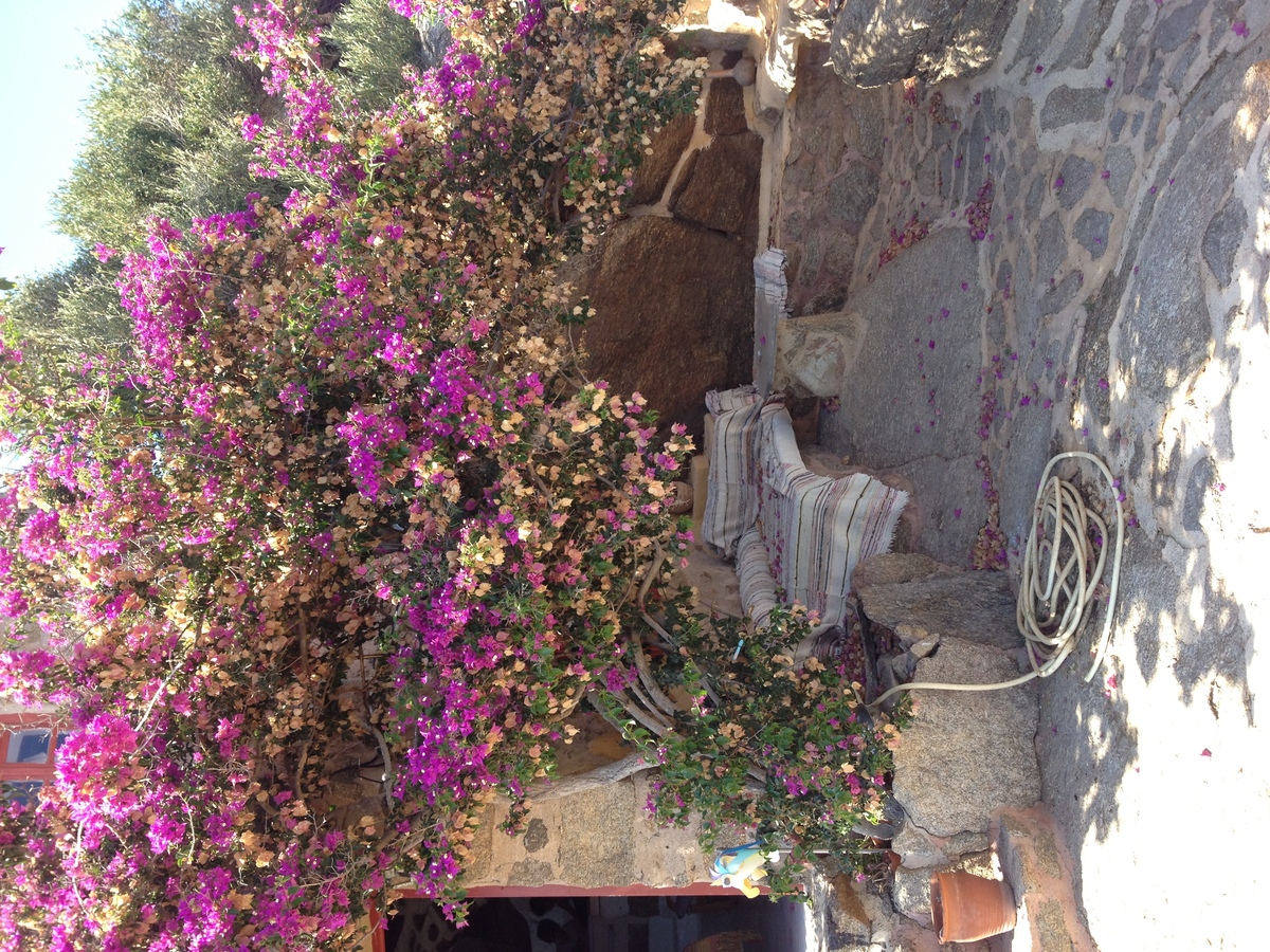 照片 希腊(Greece) 米科诺斯岛(Mykonos) 2014-07 8