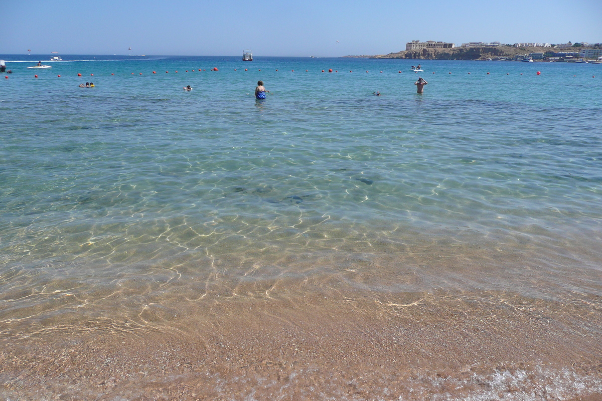照片 埃及(Egypt) 沙姆沙伊赫(Sharm el Sheikh) 2008-06 77