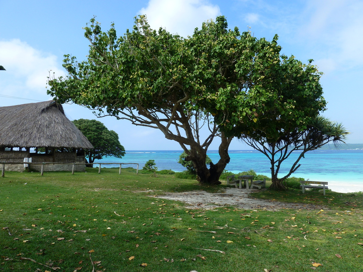 照片 新喀里多尼亚(New Caledonia) 2010-05 88