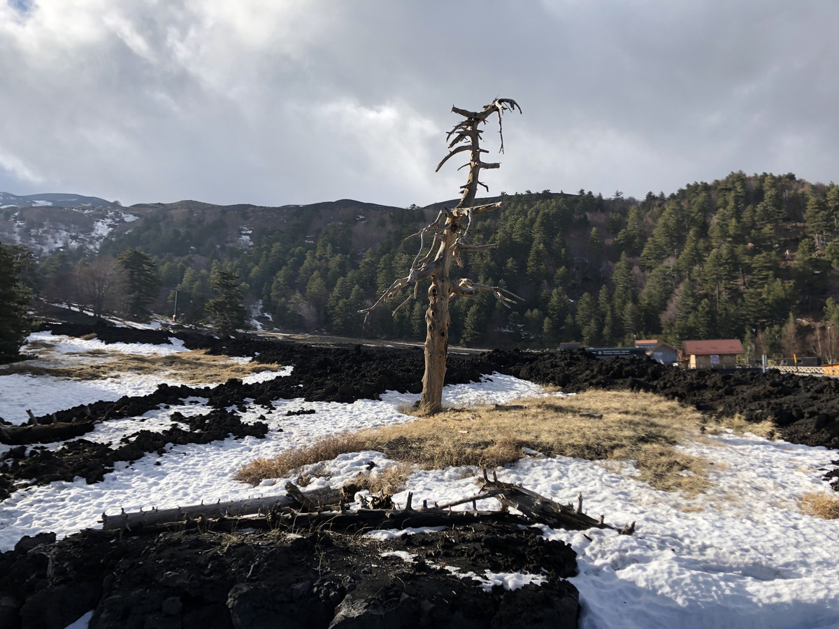 照片 意大利(Italy) 西西里岛(Sicily) 埃特纳火山(Etna) 2020-02 32
