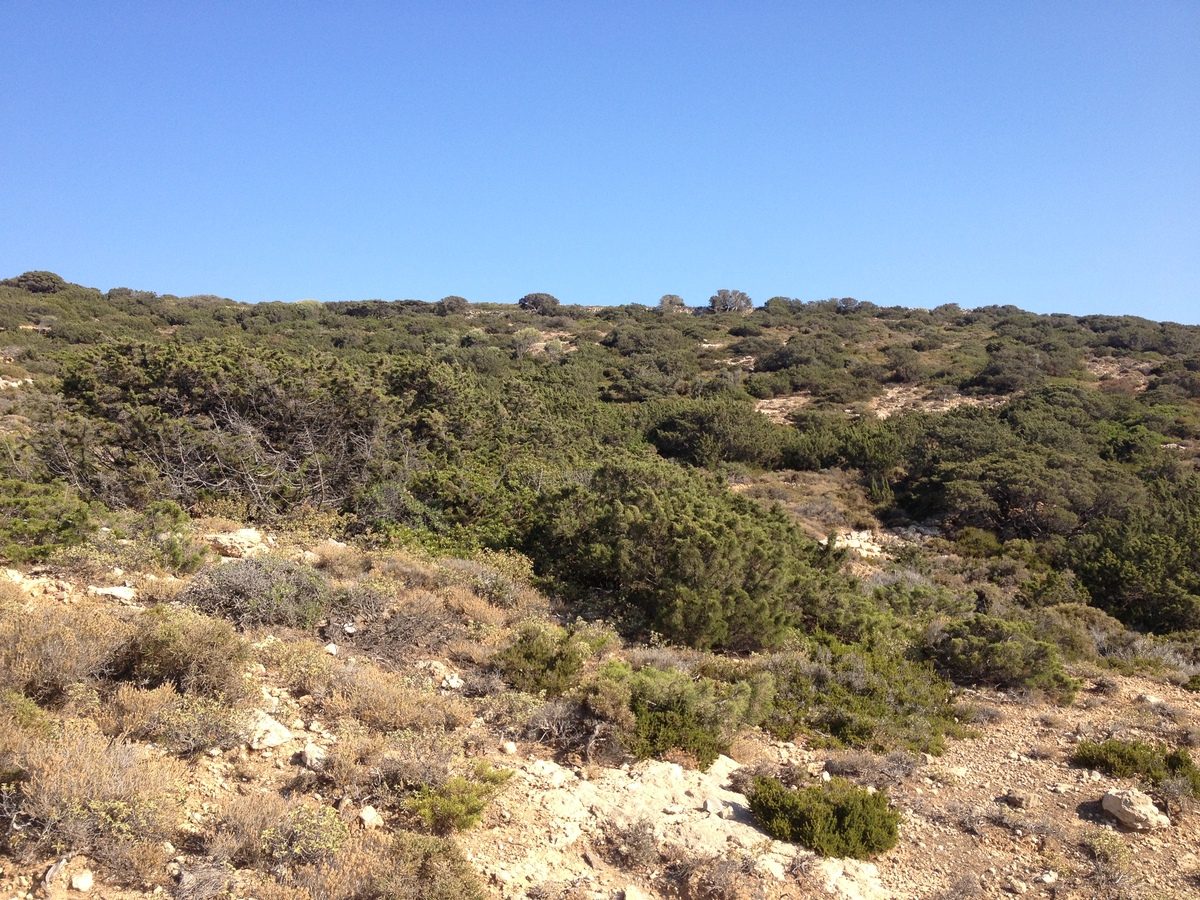 照片 希腊(Greece) 库福尼西亚群岛(Koufonissia) 2014-07 48