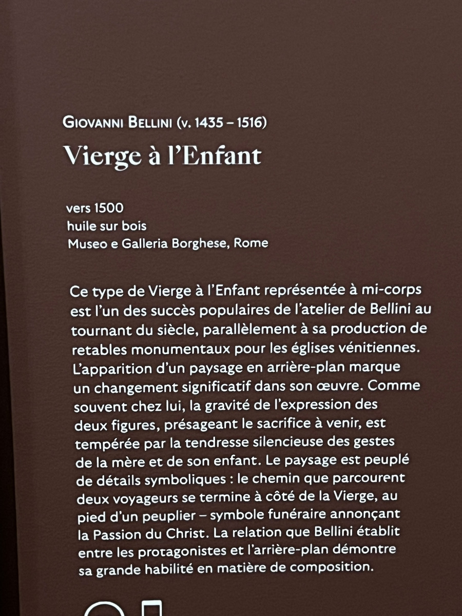 照片 法国(France) 巴黎(Paris) 雅克马尔-安德烈博物馆(Jacquemart Andre Museum) 2023-04 128