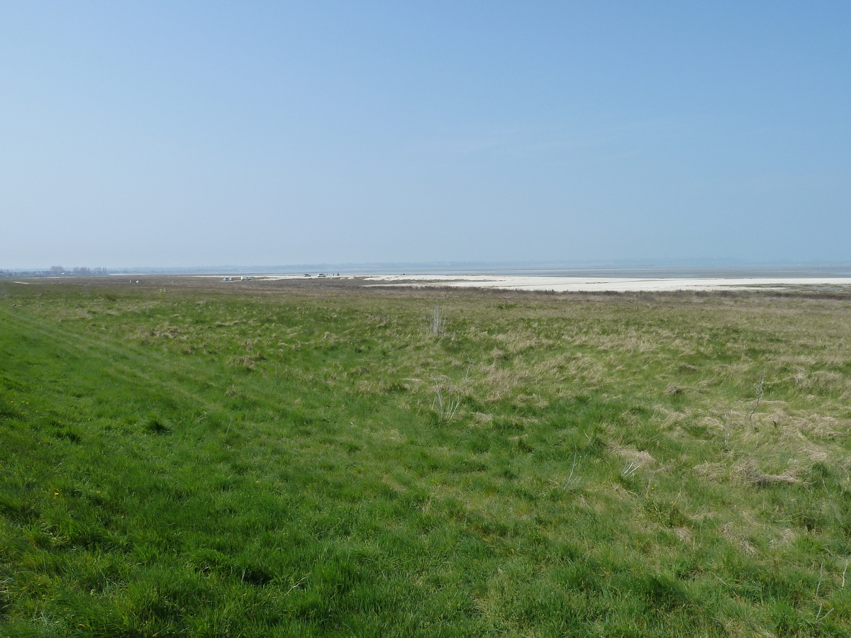 照片 法国(France) 康卡勒(Cancale) 2010-04 79