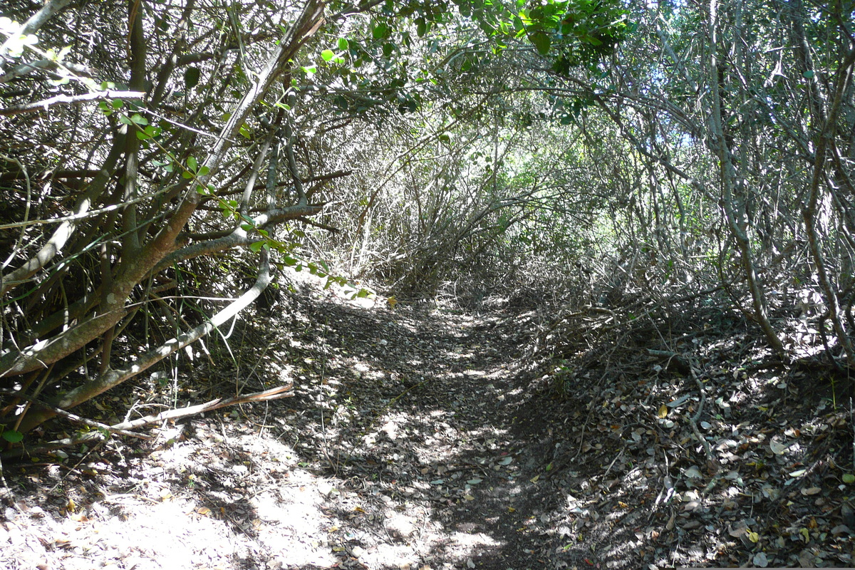 照片 南非(South Africa) 自然谷(Nature's Valley) 2008-09 15