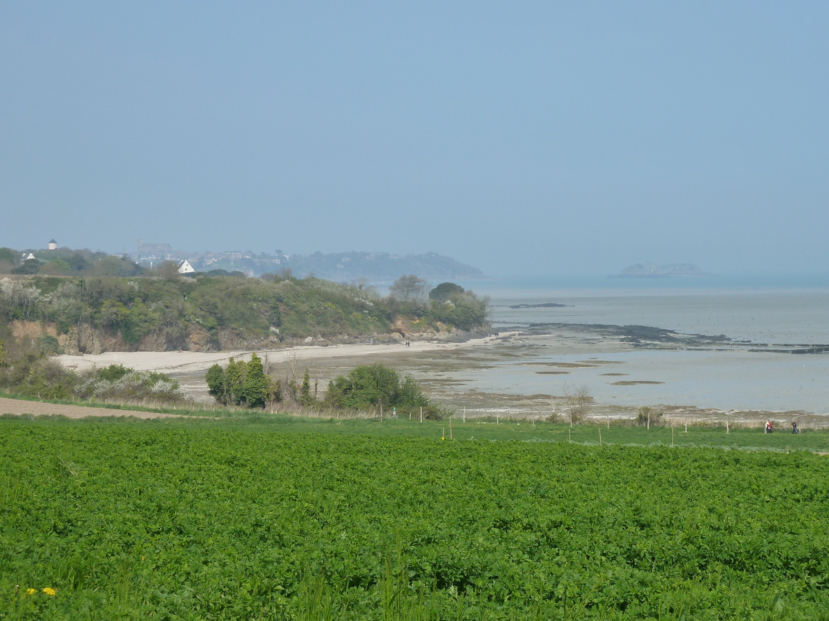 照片 法国(France) 康卡勒(Cancale) 2010-04 86