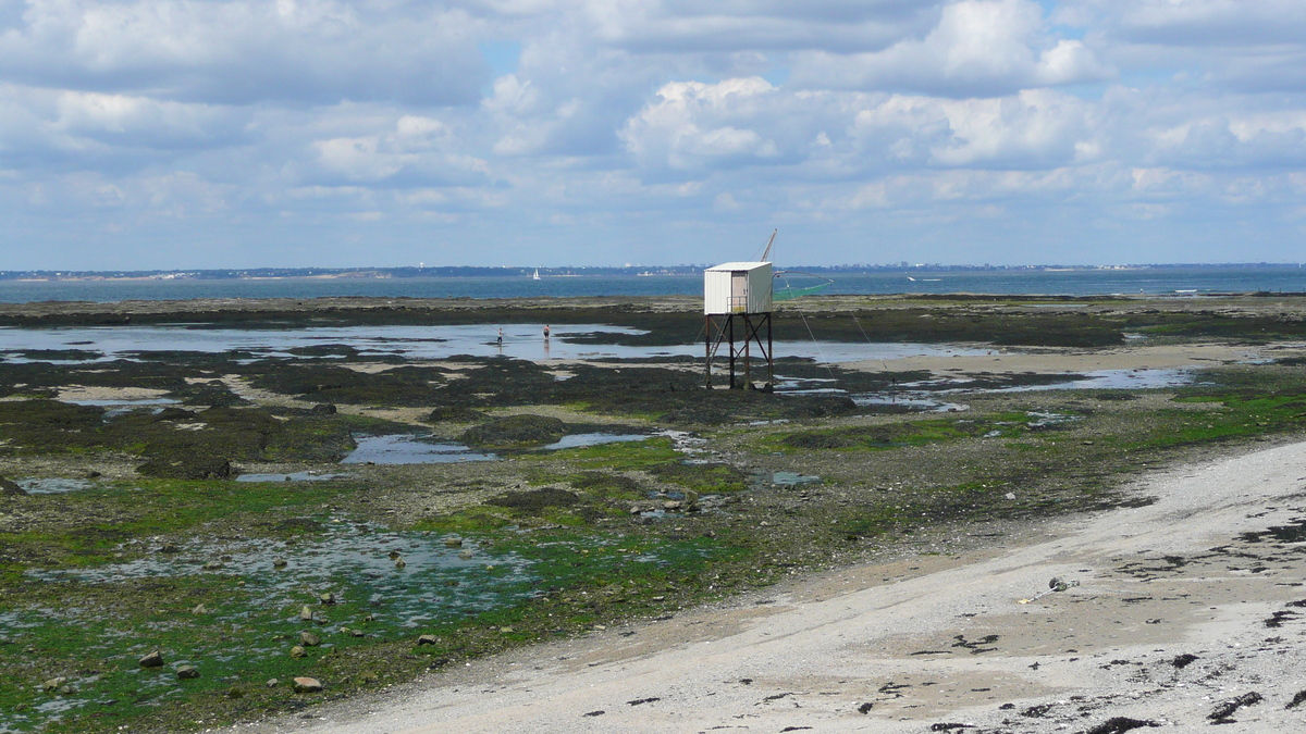 照片 法国(France) 普雷法耶(Prefailles) 圣吉尔达角至拉普雷(La pointe Saint Gildas to La Pree) 2007-08 55