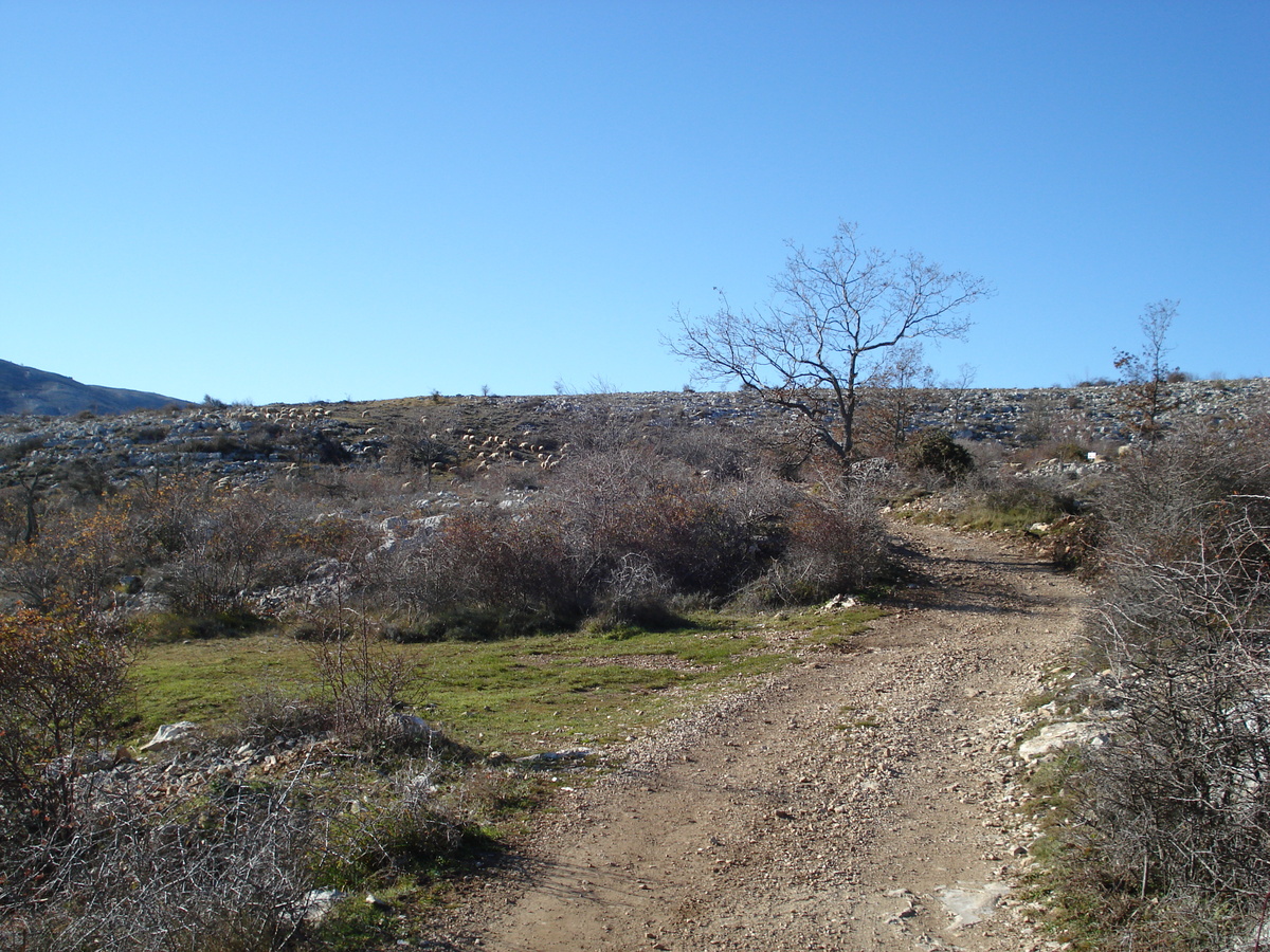 照片 法国(France) 蔚蓝海岸(French Riviera) 旺斯山口公路(Col de Vence road) 2007-01 36