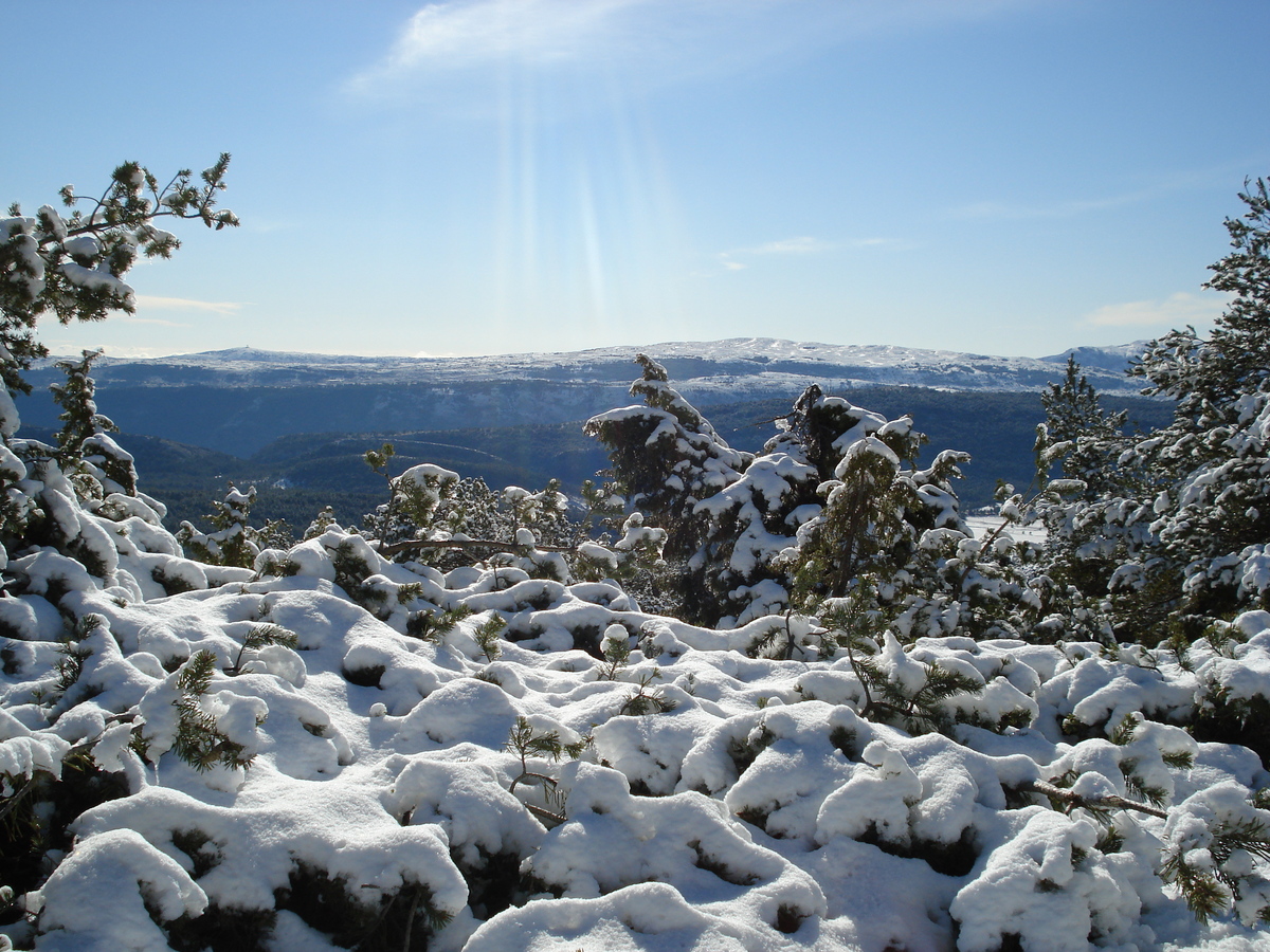 照片 法国(France) 库尔瑟古勒至格雷奥利耶雪场公路(Coursegoule to Greolieres les neiges road) 2007-01 57