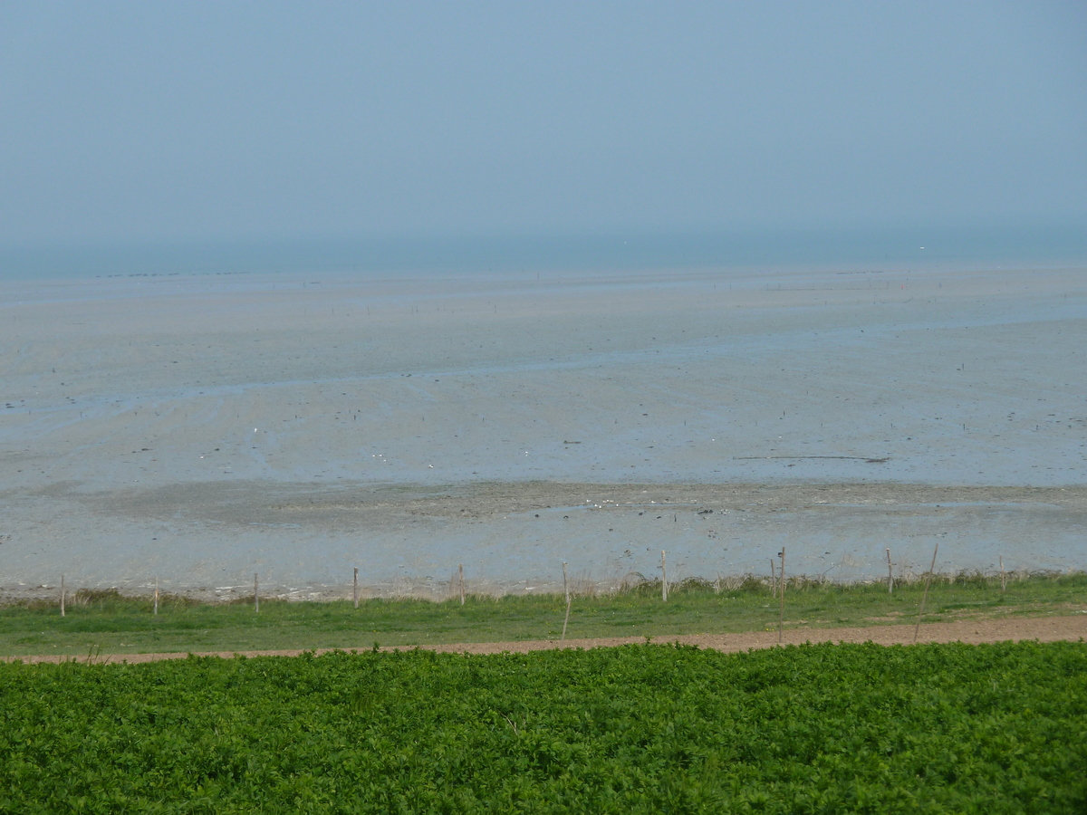 照片 法国(France) 康卡勒(Cancale) 2010-04 39