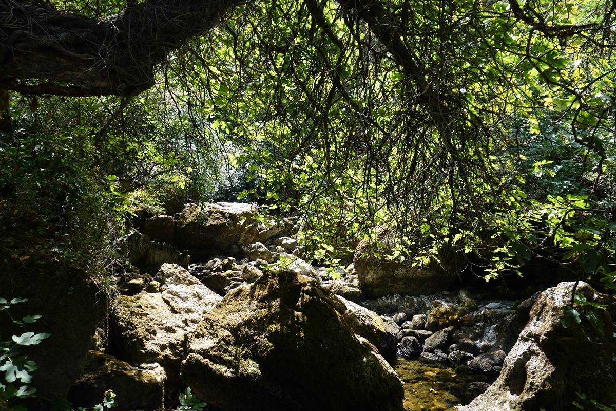 照片 法国(France) 沃克吕兹泉(Fontaine-de-Vaucluse) 2017-08 55