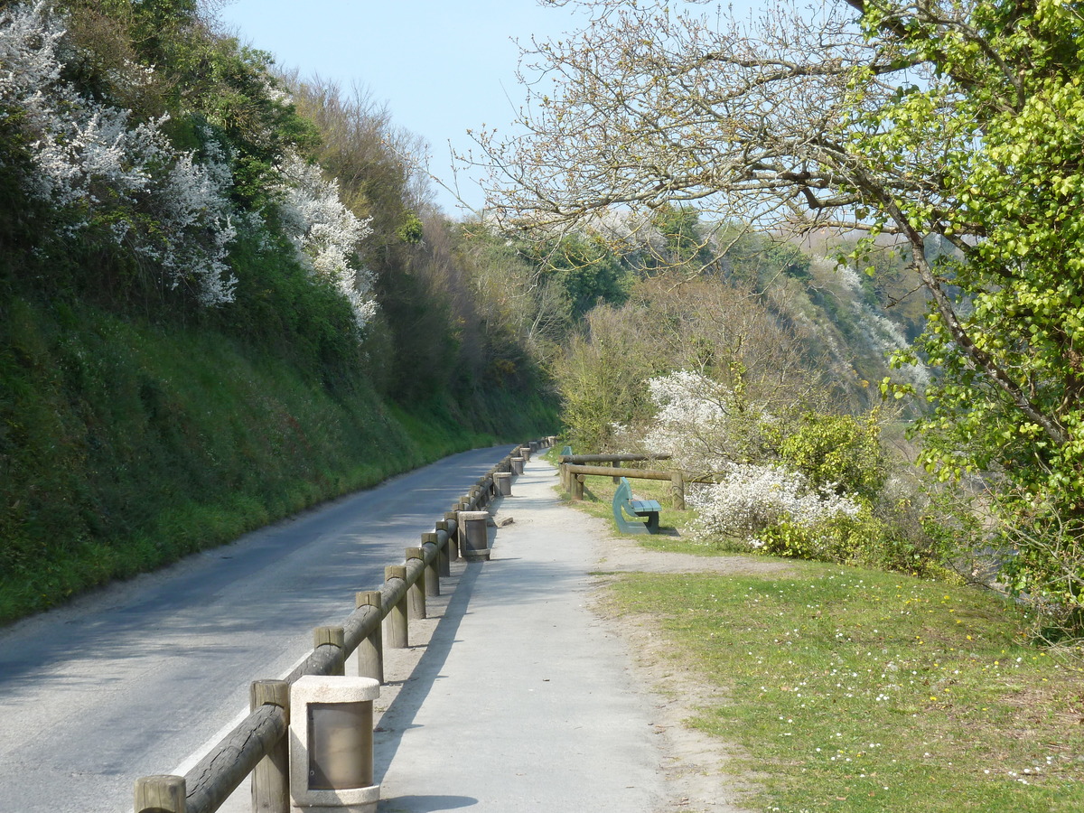 照片 法国(France) 康卡勒(Cancale) 2010-04 81