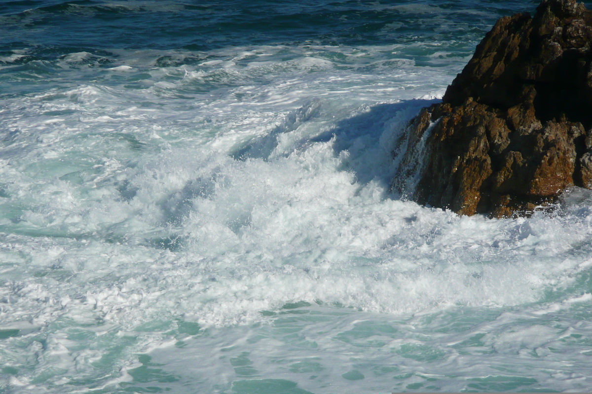 照片 南非(South Africa) 赫曼努斯(Harmanus) 2008-09 259