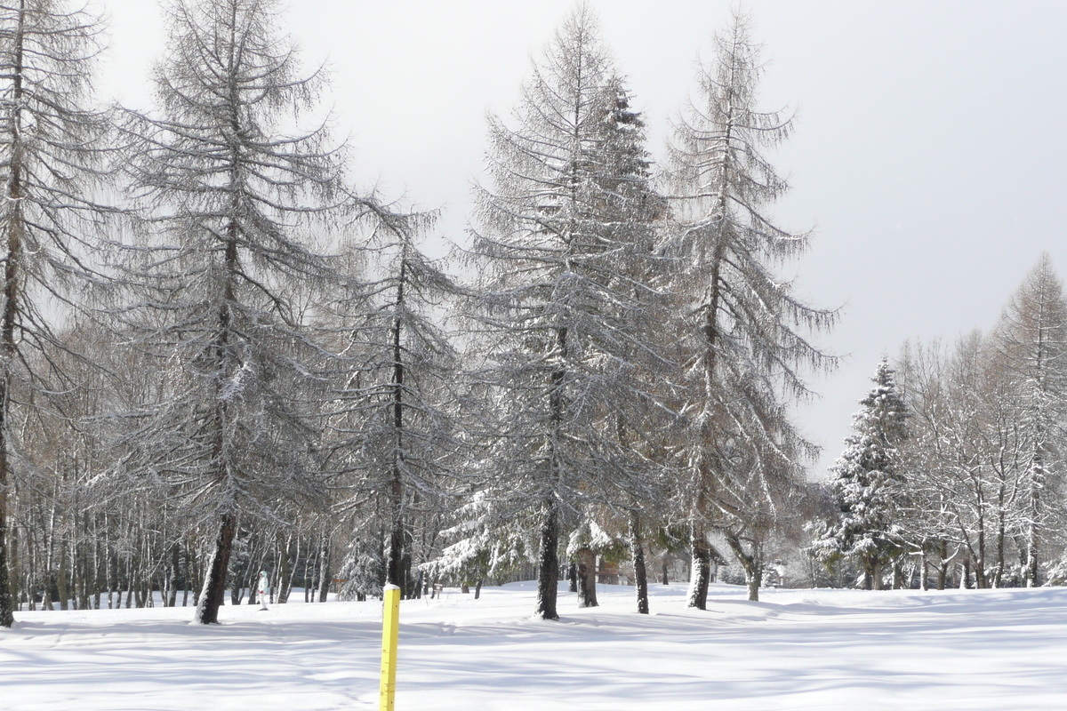 照片 法国(France) 梅杰夫(Megeve) 勒普拉奈(Le Planay) 2010-02 15