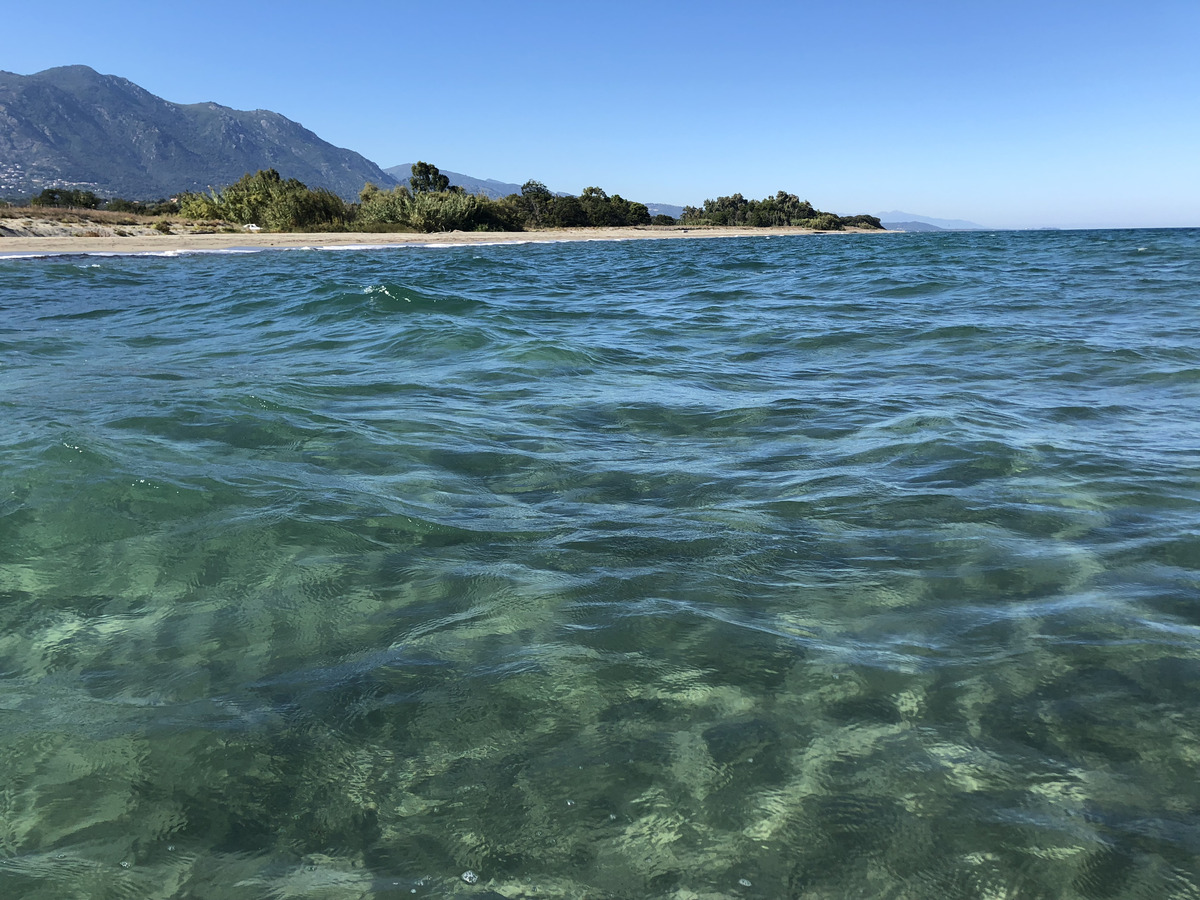 照片 法国(France) 科西嘉岛(Corsica) 圣朱利亚诺(San Giuliano) 2018-09 4