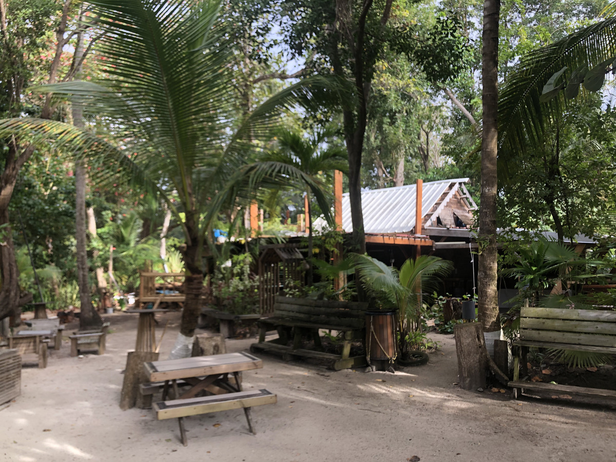 照片 瓜德罗普(Guadeloupe) 圣安妮(Sainte Anne) 2021-02 100