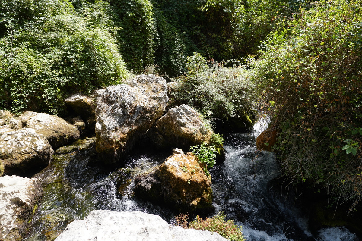 照片 法国(France) 沃克吕兹泉(Fontaine-de-Vaucluse) 2017-08 47