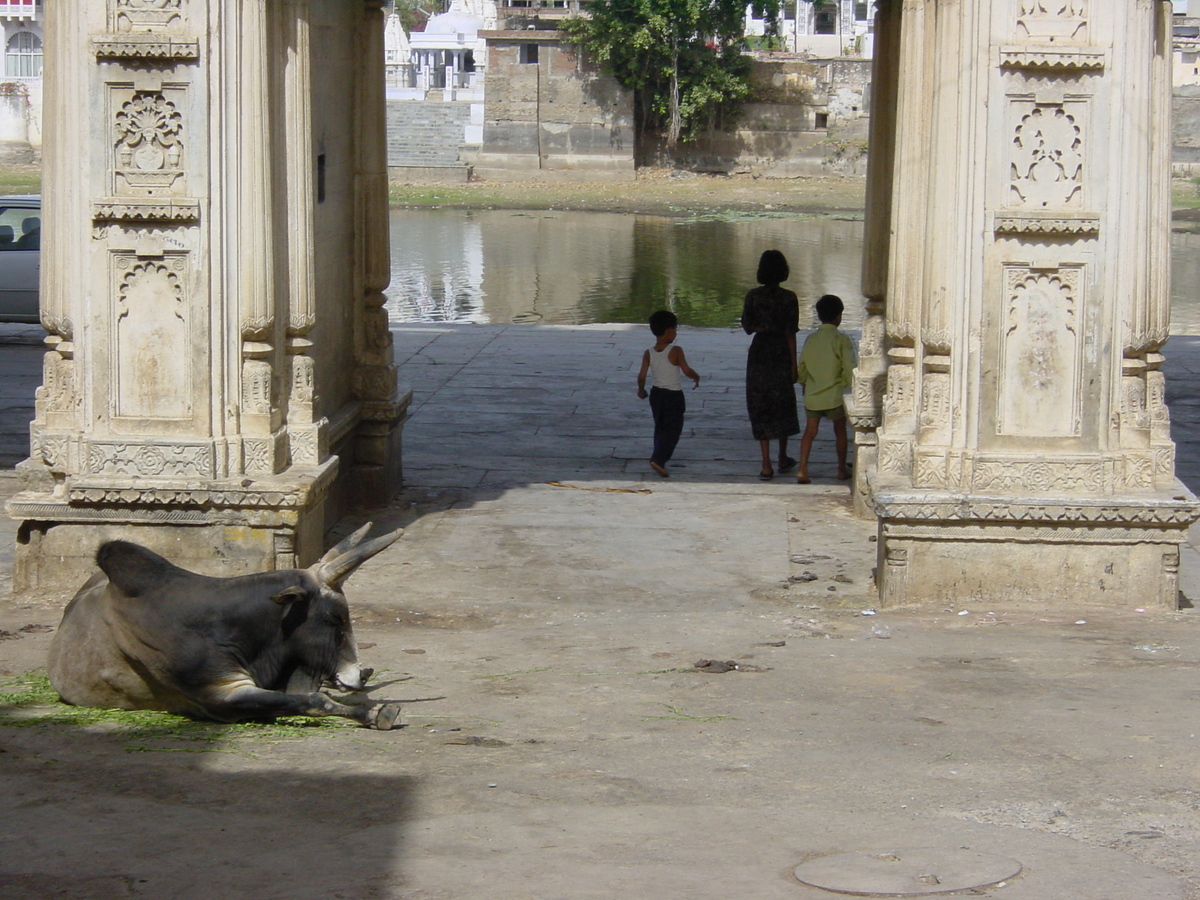 照片 印度(India) 乌代浦(Udaipur) 2003-05 143