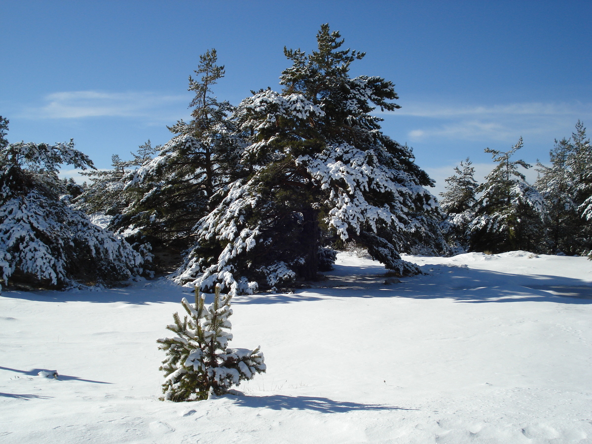 照片 法国(France) 格雷奥利耶雪场(Greolieres les neiges) 2007-01 1
