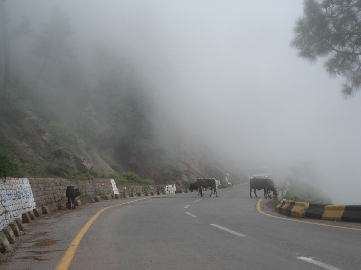 照片 巴基斯坦(Pakistan) 穆里(Murree) 2006-08 162