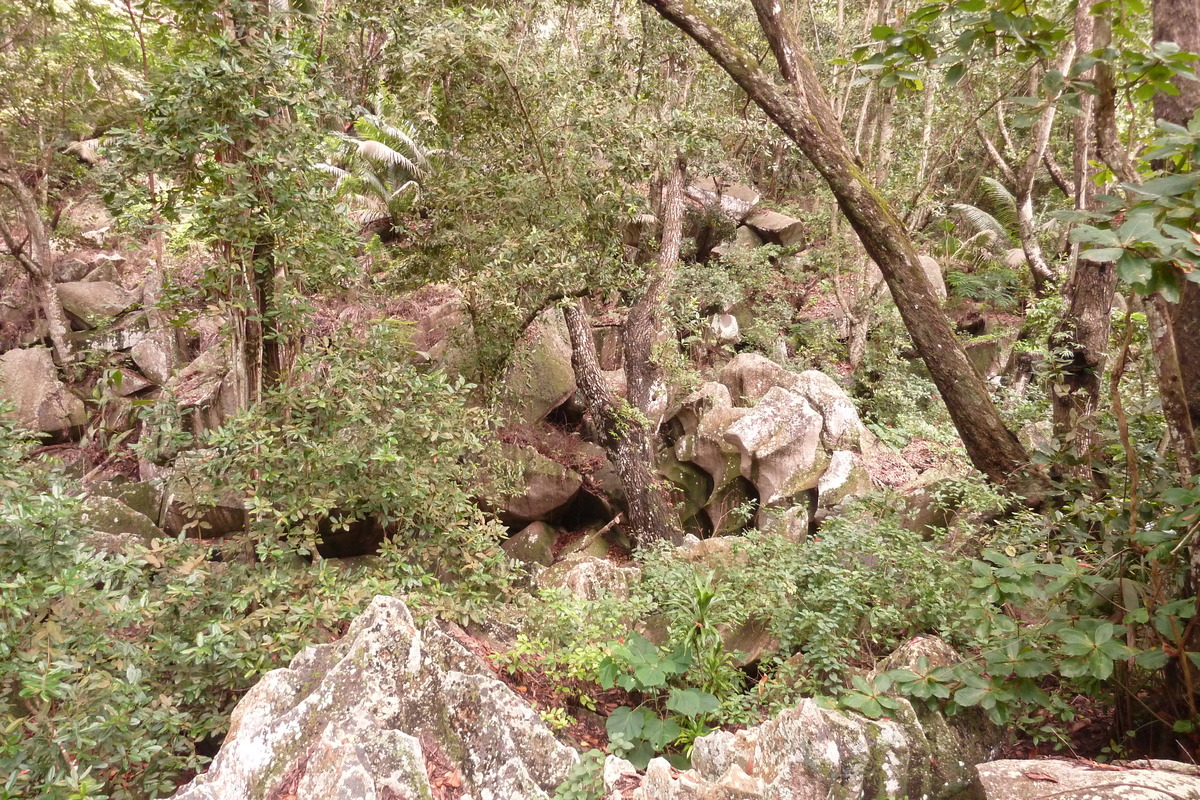 照片 塞舌尔(Seychelles) 拉迪格岛(La Digue) 2011-10 91
