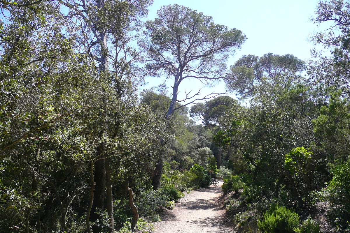 照片 法国(France) 波克罗勒岛(Porquerolles Island) 阿利卡斯特尔海滩(Alycastre beach) 2008-05 0