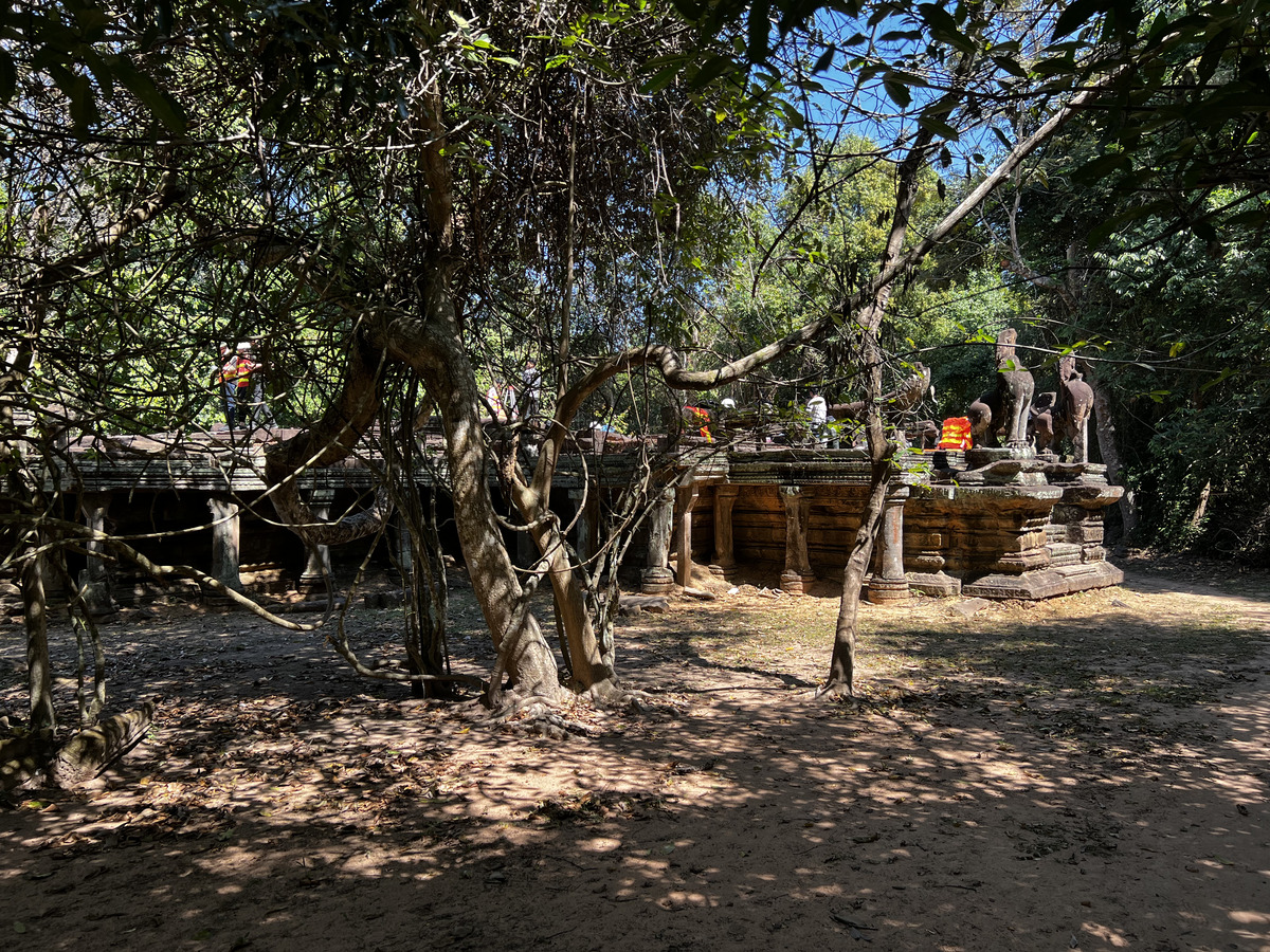照片 柬埔寨(Cambodia) 暹粒(Siem Reap) 班提色玛寺(Banteay Samre) 2023-01 33