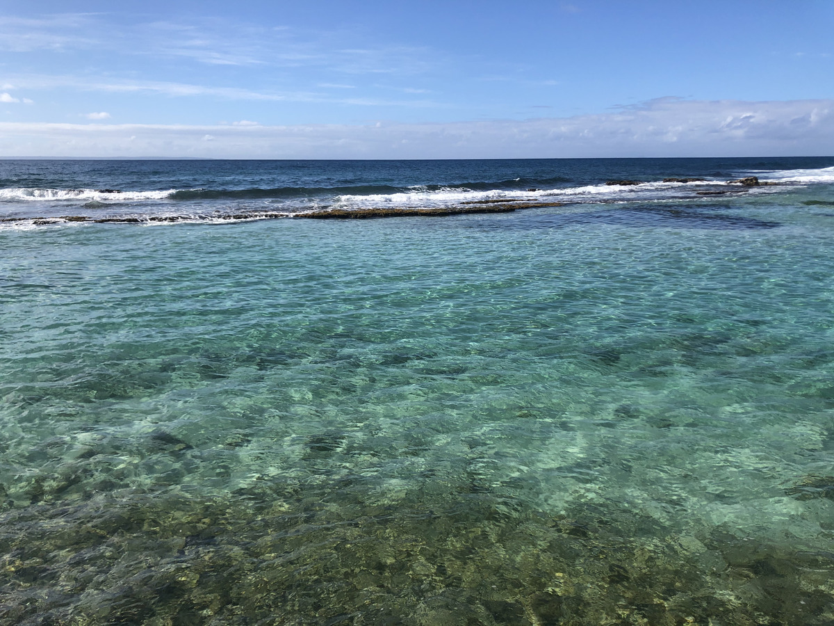 照片 瓜德罗普(Guadeloupe) 曼加瑙酒店(Le Manganao Hotel) 2021-02 45