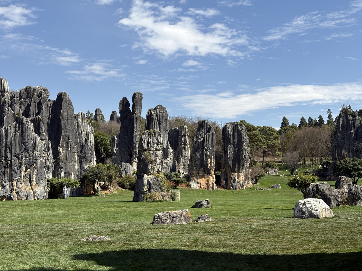 照片 中国(China) 石林(Shilin Stone Forest) 2026-01 16