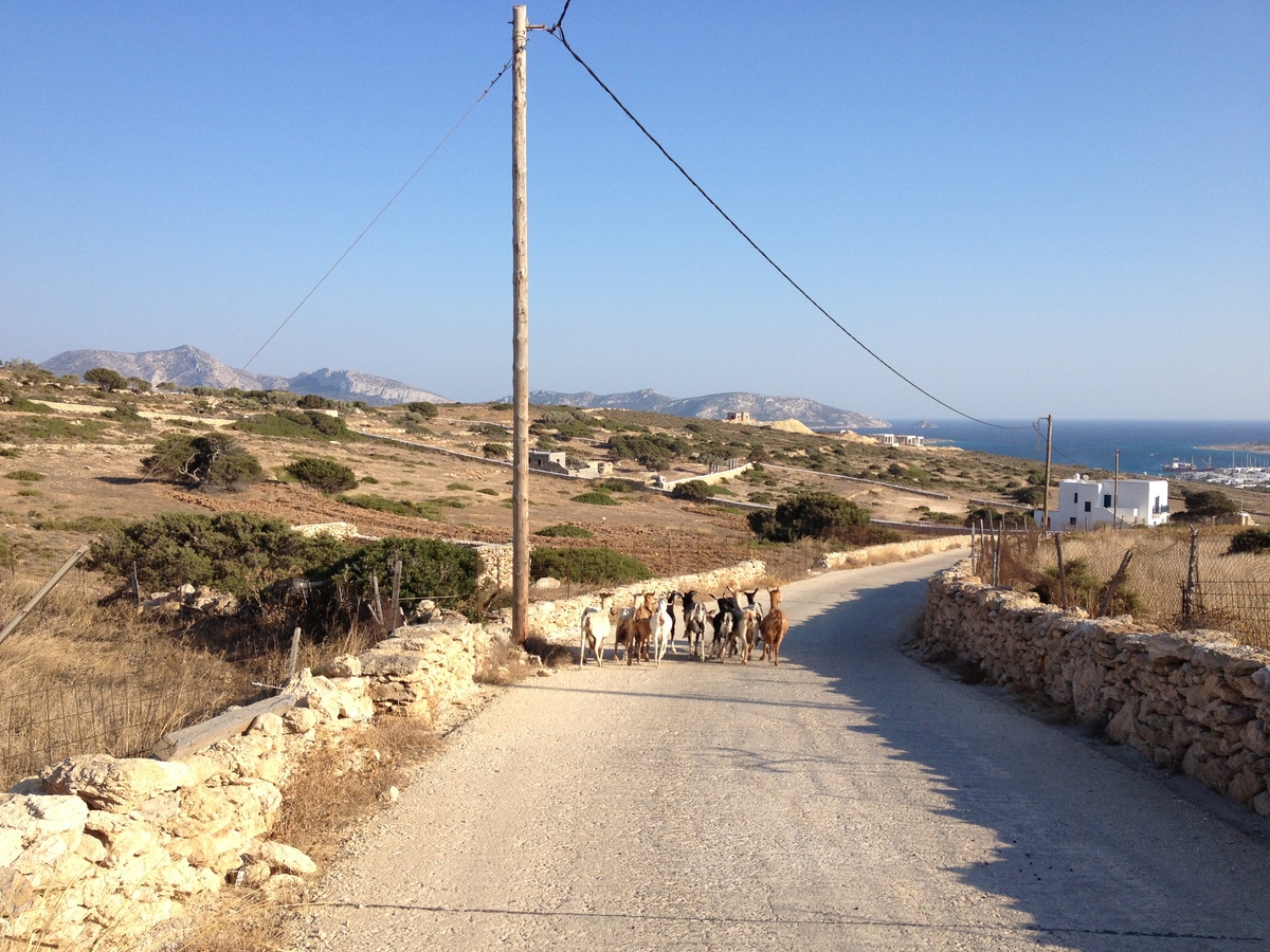 照片 希腊(Greece) 库福尼西亚群岛(Koufonissia) 2014-07 113