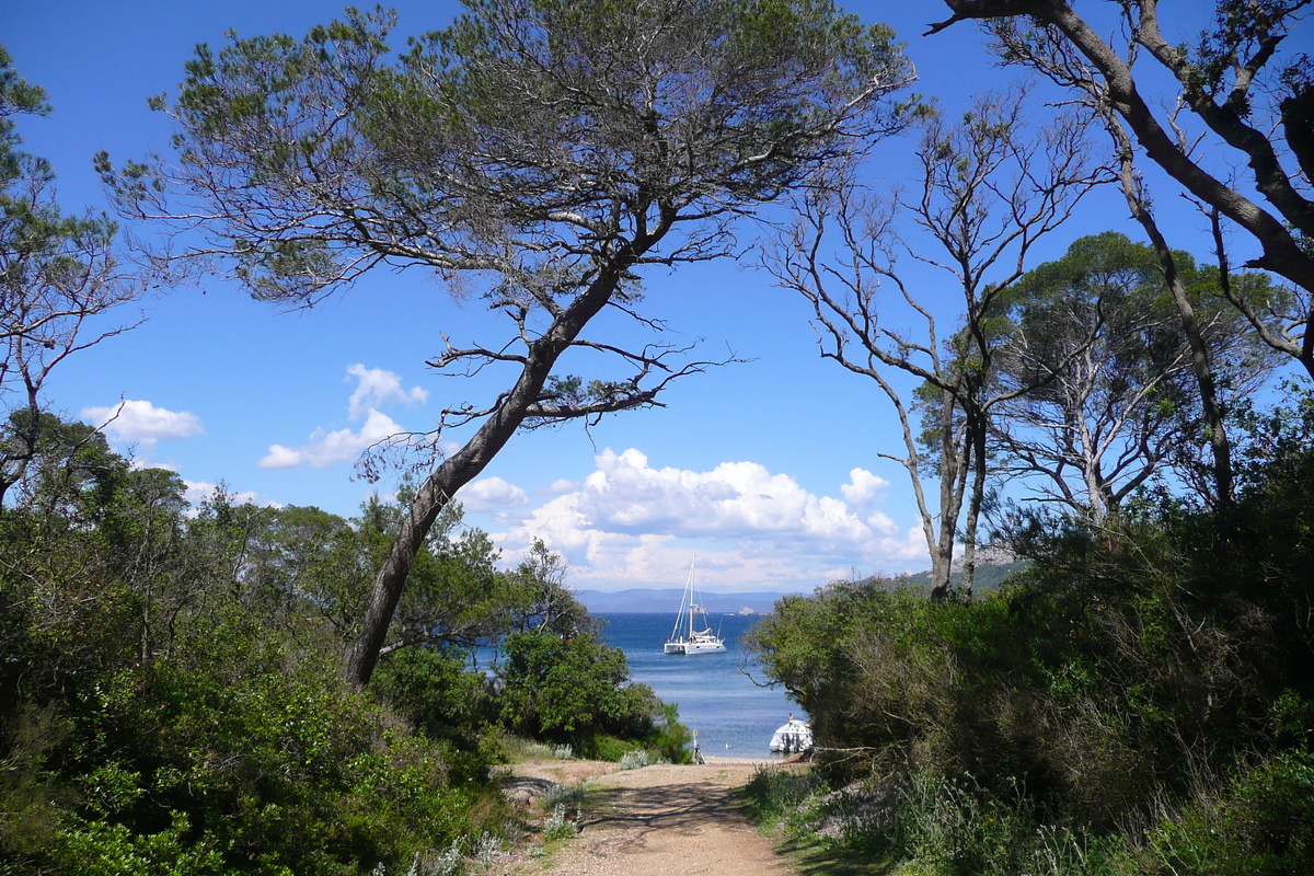 照片 法国(France) 波克罗勒岛(Porquerolles Island) 阿利卡斯特尔海滩(Alycastre beach) 2008-05 19