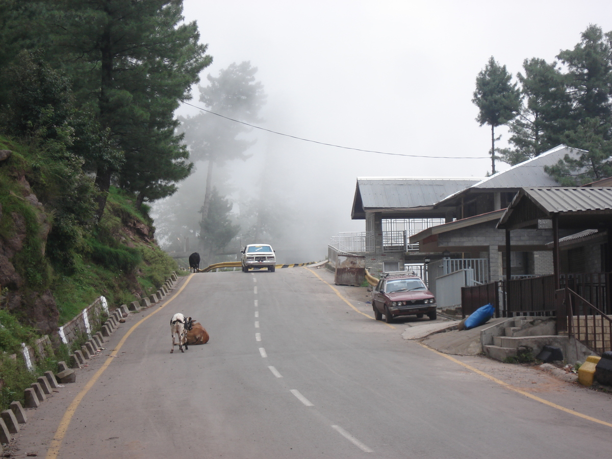 照片 巴基斯坦(Pakistan) 穆里(Murree) 2006-08 13